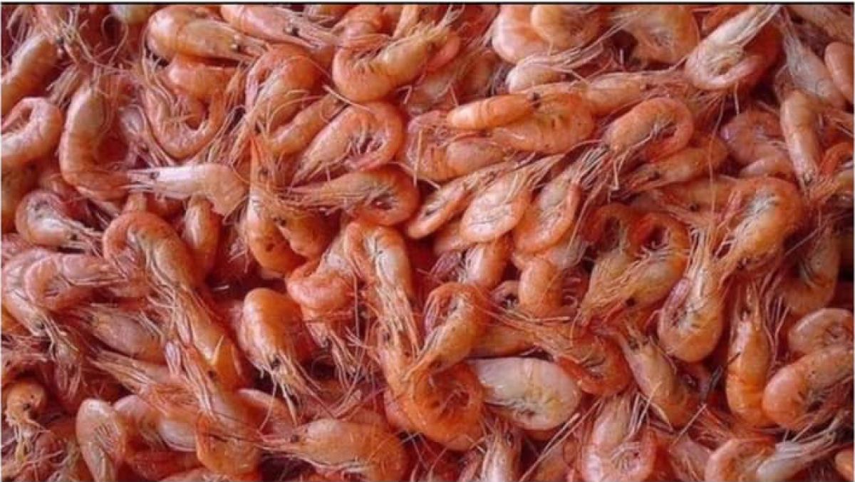 Congelados Mar Menor